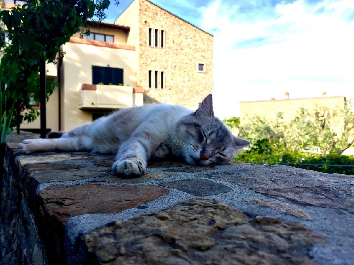 La Compagnia Del Chianti Aparthotel San Donato in Poggio