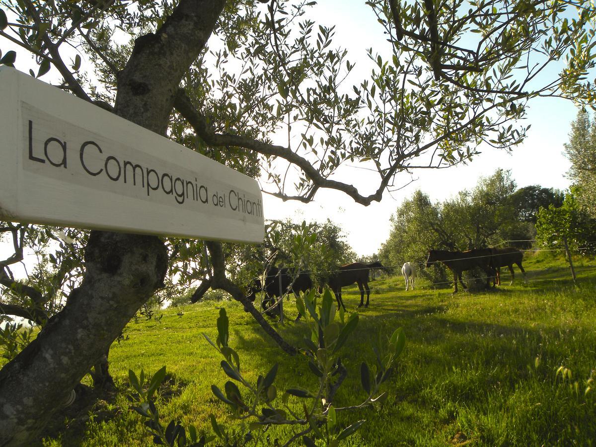 La Compagnia Del Chianti Aparthotel